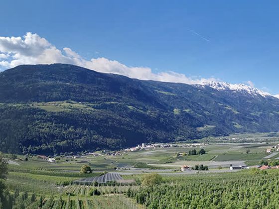 Panoramablick von Partschins bis Naturns